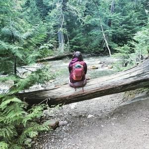 Meet your Posher, Ariel